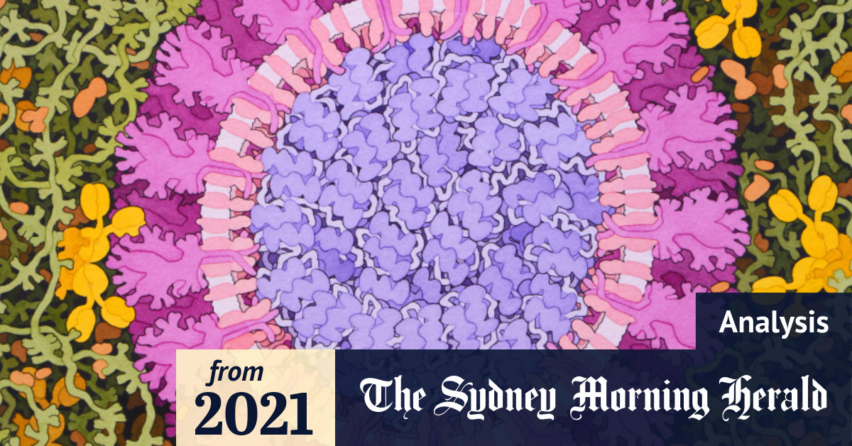 Coronavirus Australia: The mystery that could explain why COVID